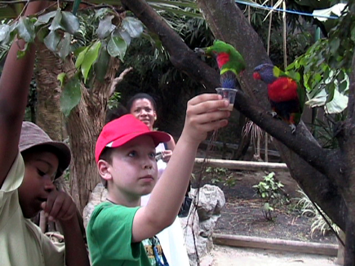 21a - Jardin Tropical 014.jpg